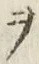 “ヲ”字