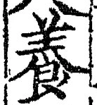 Chữ 養