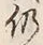 글자 仍