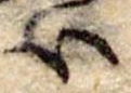 𛂞の位置