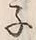 글자 子