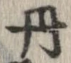 已定位丹