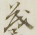 已定位茂