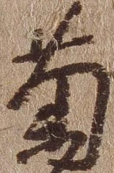 菊 위치 확인됨