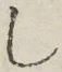 글자 し