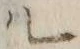 字ル