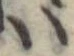 𛂞 위치 확인됨