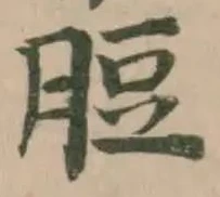Đã định vị 脰