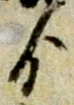 ゟの位置