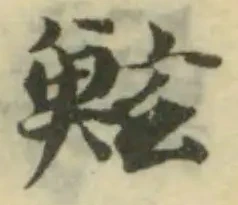 鮌の位置