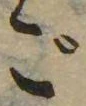 位置 確認된 ご