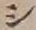 字シ