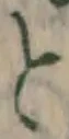 文字 と