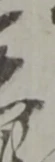 慈 위치 확인됨
