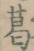 文字葛