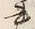 文字書