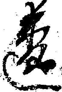 位置 確認된 違