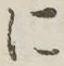 글자 に