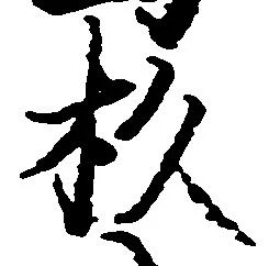 已定位杉
