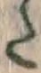 Character た