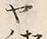 文字 ヤ