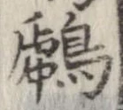 位置 確認된 鷉