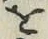 文字 を