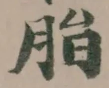 Đã định vị 脂