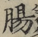 文字腸