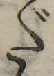 位置 確認된 だ