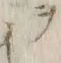 文字ヲ