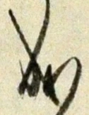 𡨸成