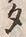 文字 タ