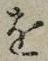 글자 を