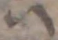 𛂞の位置