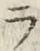 글자 ラ