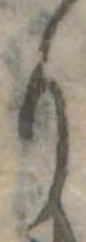Đã định vị り