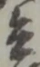 兵 위치 확인됨