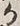 字か
