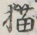 位置 確認된 猫