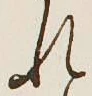 글자 れ