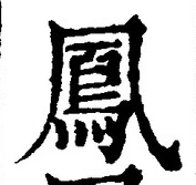 文字鳳