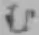 文字む