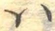 𛂞の位置