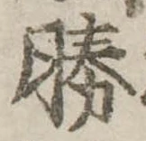 勝 위치 확인됨