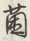 文字菌