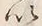 文字以
