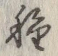 已定位種