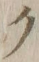 “ク”字