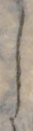 𛁅 위치 확인됨